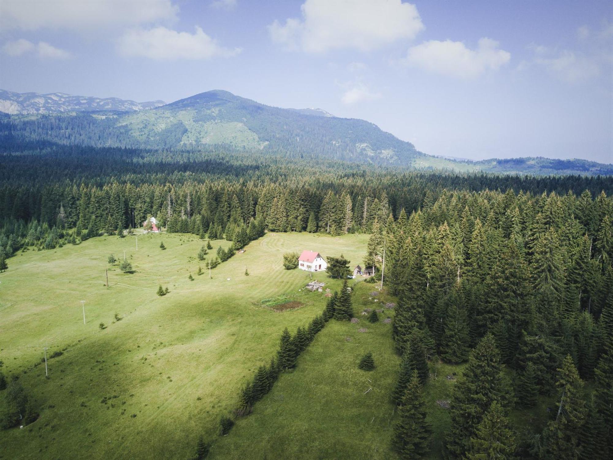 Homestay Djerkovic Žabljak Zewnętrze zdjęcie