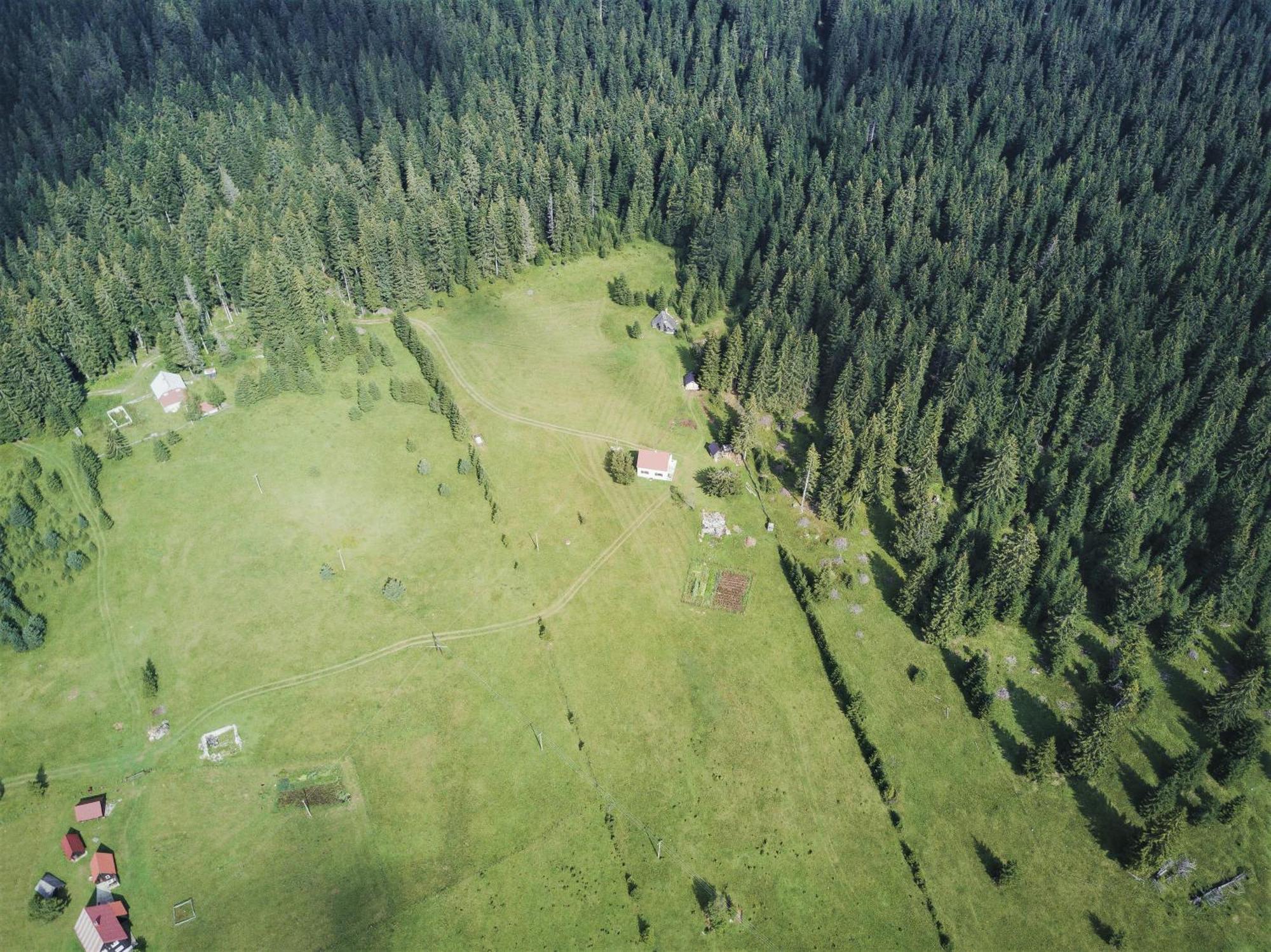 Homestay Djerkovic Žabljak Zewnętrze zdjęcie