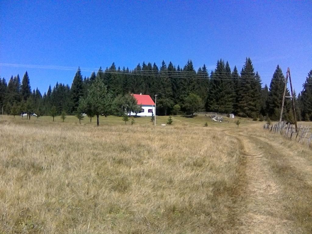 Homestay Djerkovic Žabljak Zewnętrze zdjęcie