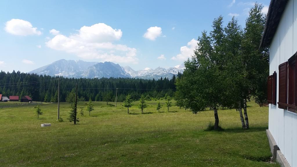 Homestay Djerkovic Žabljak Zewnętrze zdjęcie