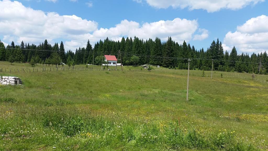 Homestay Djerkovic Žabljak Zewnętrze zdjęcie